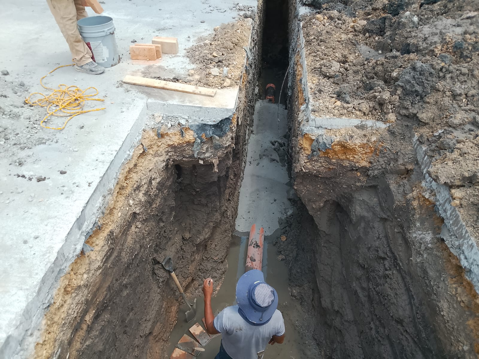 Imagen de la obra